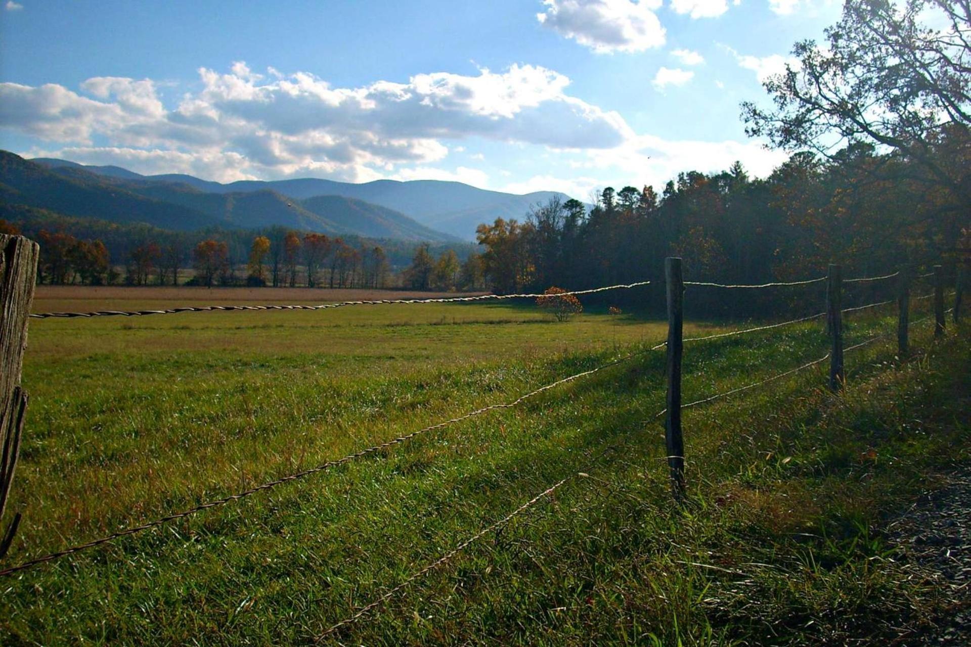 Knot A Kabin Pigeon Forge Dış mekan fotoğraf