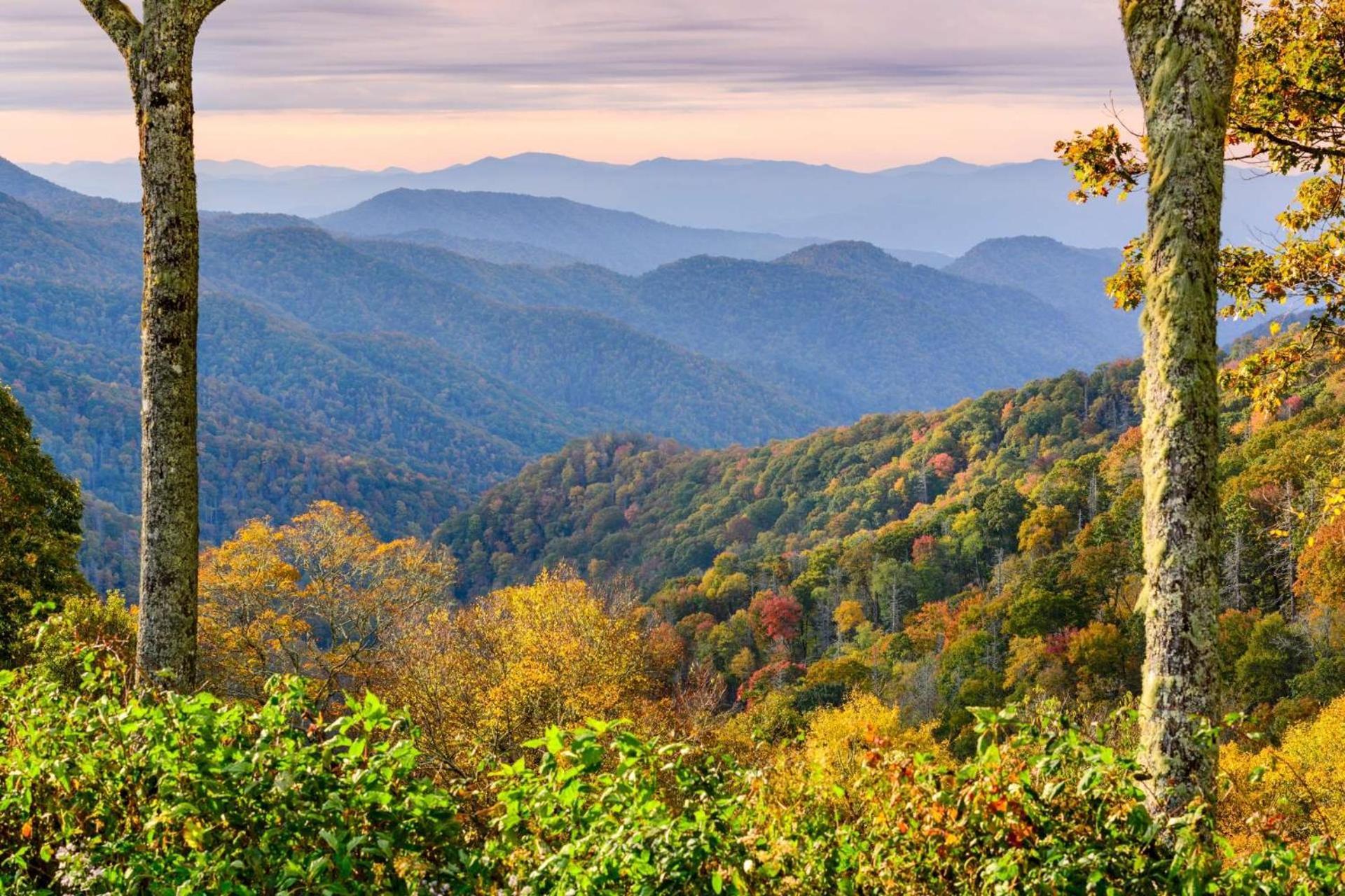 Knot A Kabin Pigeon Forge Dış mekan fotoğraf