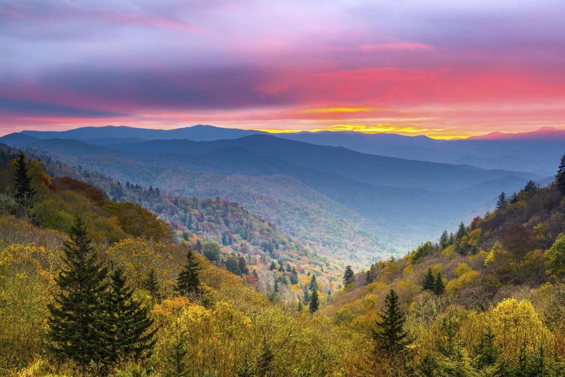 Knot A Kabin Pigeon Forge Dış mekan fotoğraf