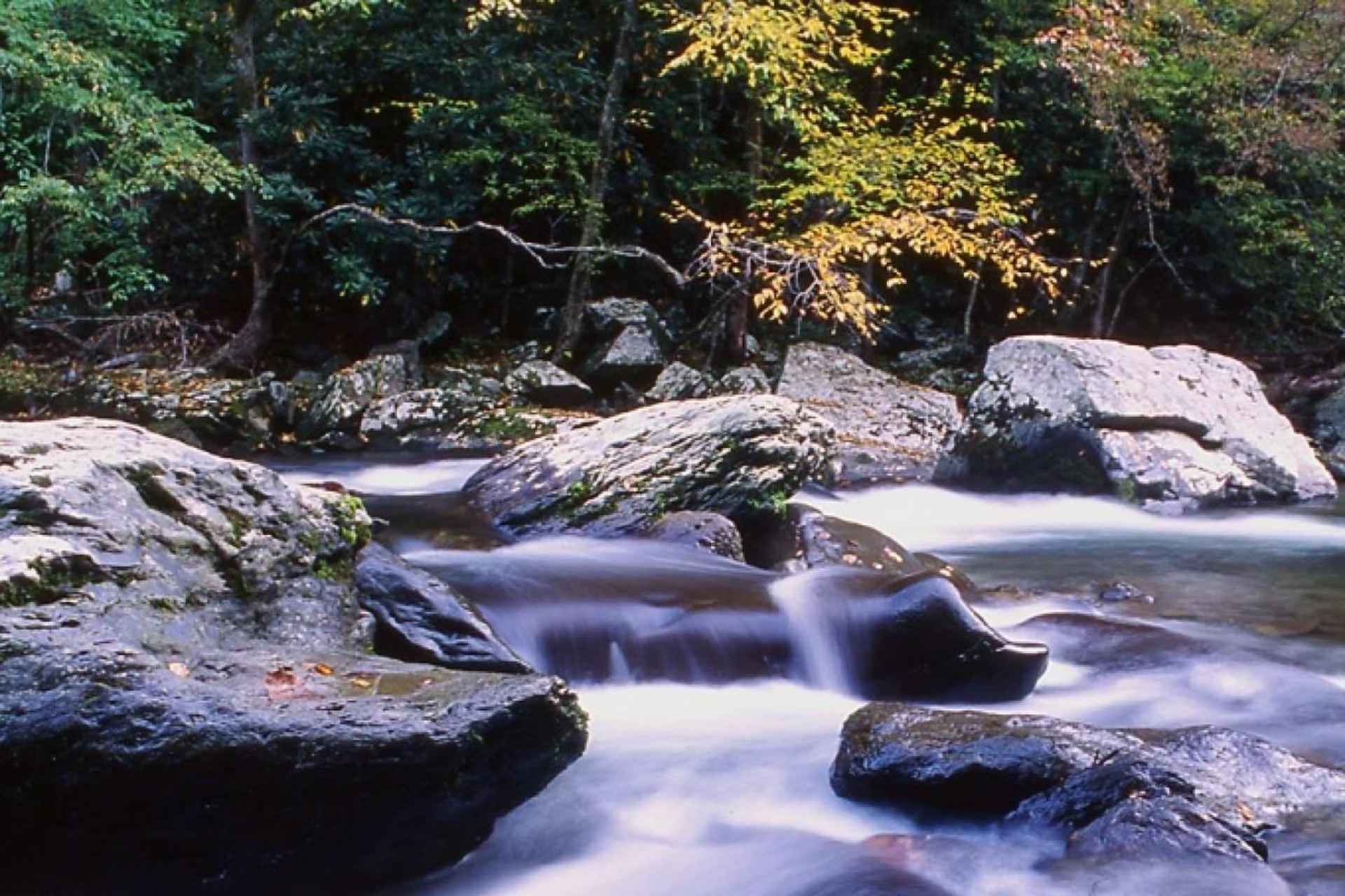 Knot A Kabin Pigeon Forge Dış mekan fotoğraf