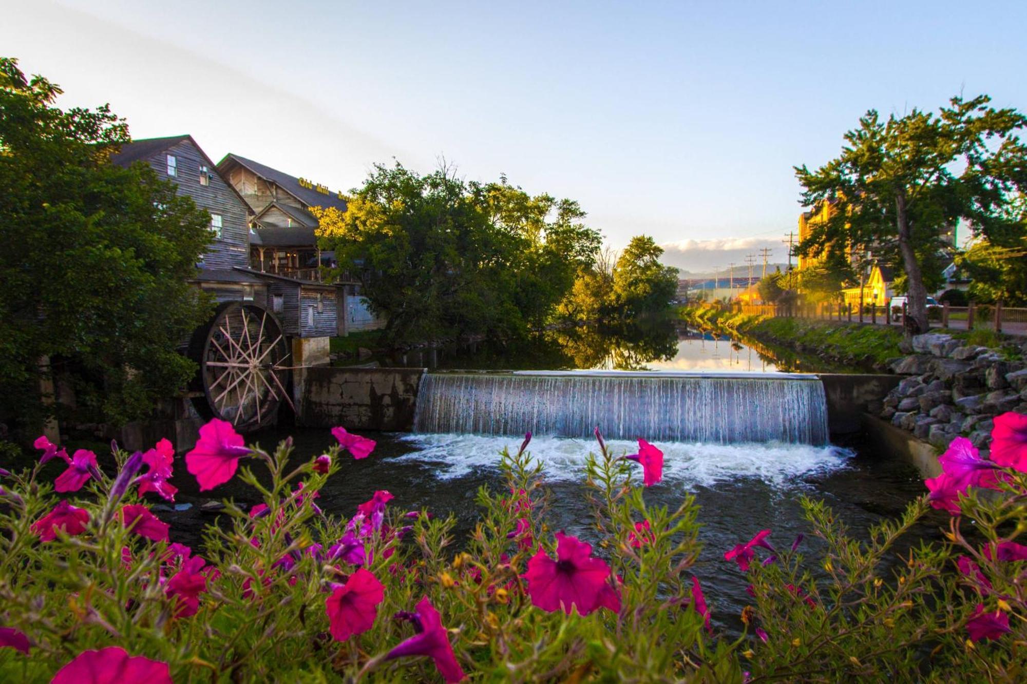 Knot A Kabin Pigeon Forge Dış mekan fotoğraf